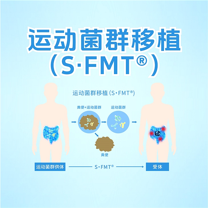 什么是“运动菌群移植”？