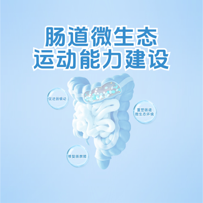 构建“肠道微生态运动能力”有什么好处？